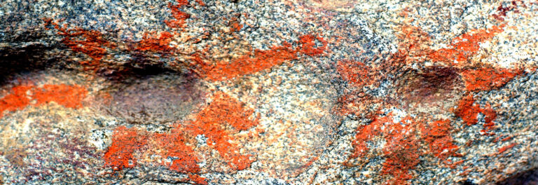 Arqueología Baja California