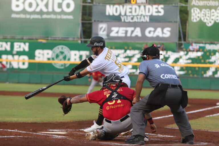 Leones de Yucatán