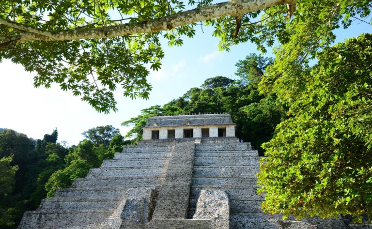 zona_arqueoloigica_palenque