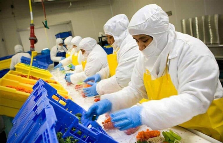 Trabajadores de Corporativo Kosmos