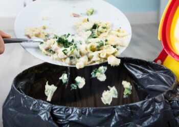 La Cosmopolitana