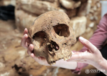 Arqueólogos halla una cámara funeraria en Palenque