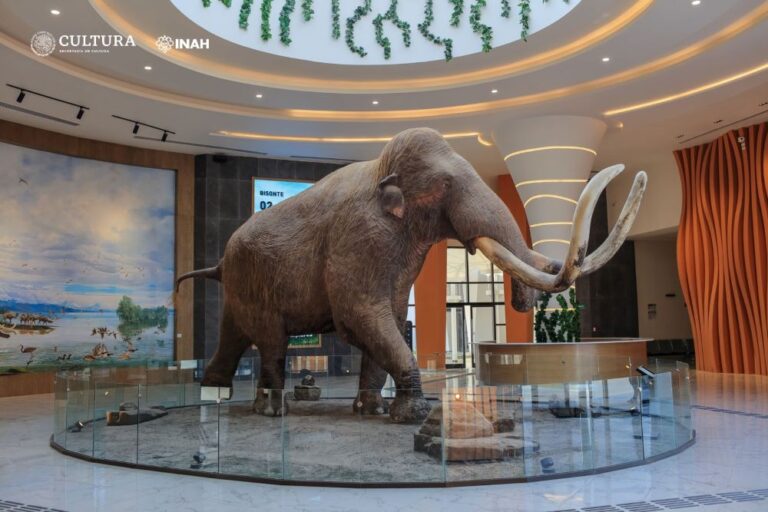 nombre para elefante museo