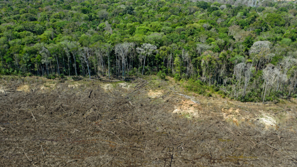 Grupo AJE: Bosques Tropicales albergan una asombrosa riqueza natural