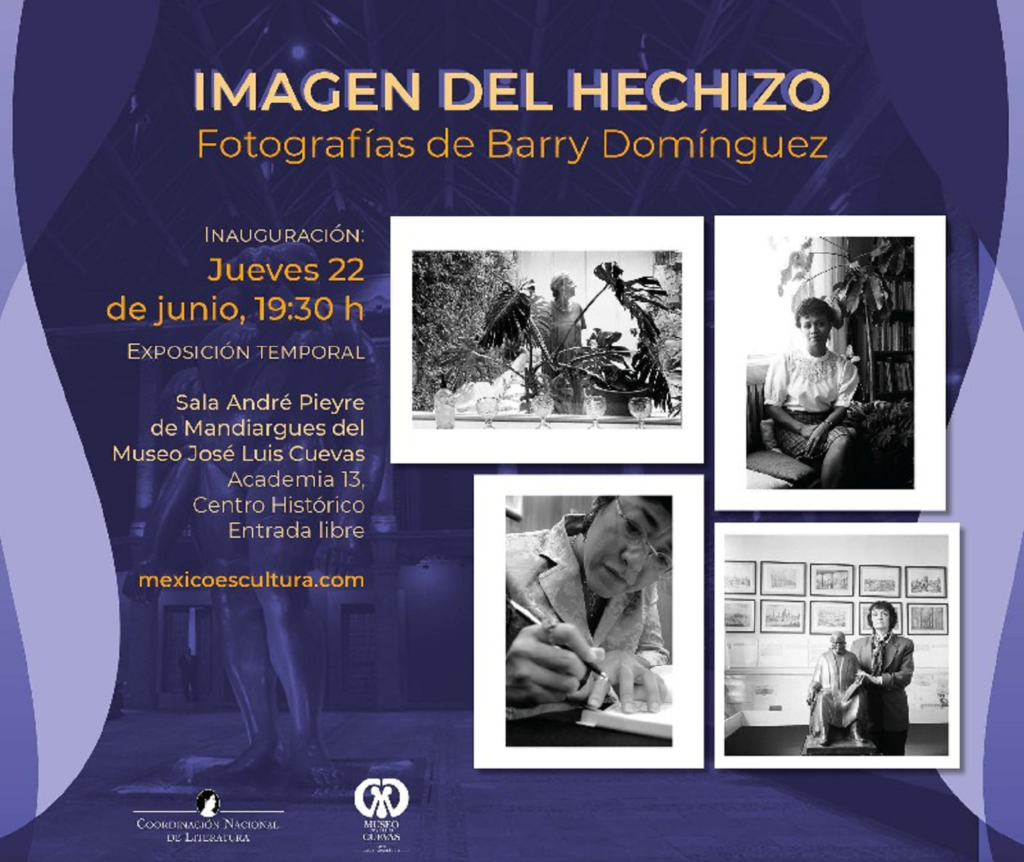 exposicion de barry dominguez