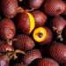 Grupo AJE: Conservación de los ecosistemas de superfrutos