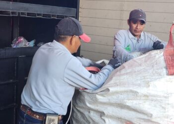AJEMEX se involucra en iniciativas sostenibles en beneficio de Tepoztlán