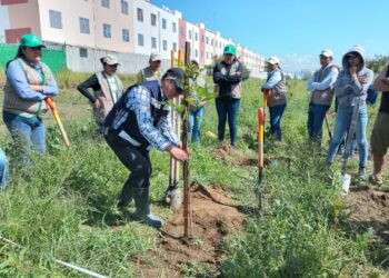 AJEMEX encabeza iniciativa de Reforestación en Huejotzingo