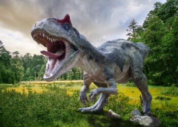 Científicos encuentran fósil de Gorgosaurus con su última comida en el vientre