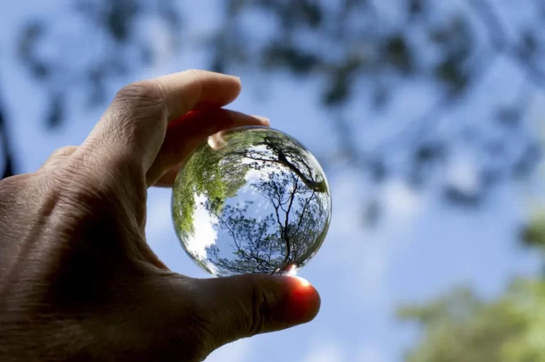 Grupo AJE lidera iniciativas sostenibles para un futuro ecológico