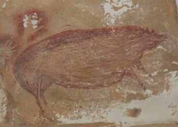 Científicos descubren la obra de arte “más antigua" del mundo