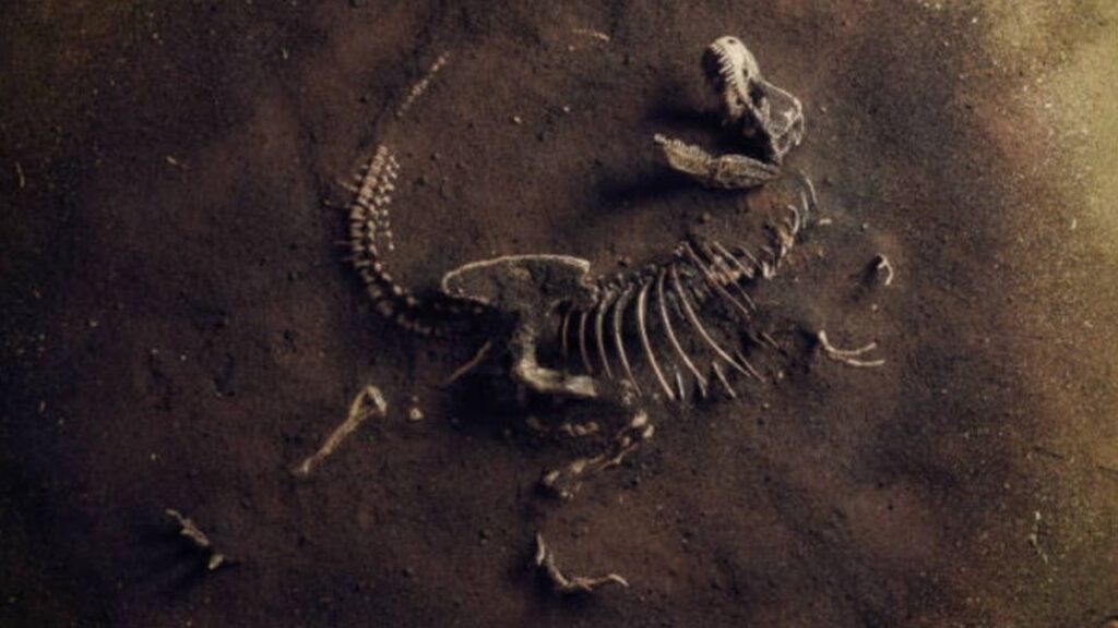 Subastarán el fósil de dinosaurio más grande que ha existido