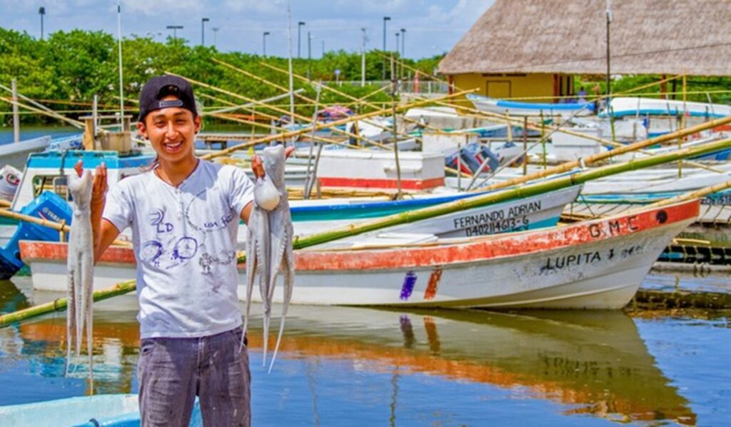 Pulpo Maya de Yucatán es considerado Bien Nacional; pesca es exclusiva