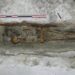 Investigadores descubren tumbas en la Catedral de Notre-Dame de París