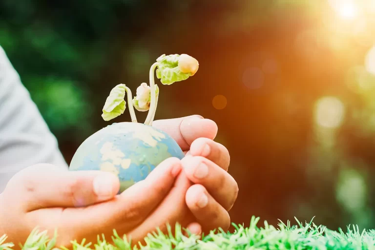AJEMEX trabaja por la biodiversidad e impulsa conservación ambiental