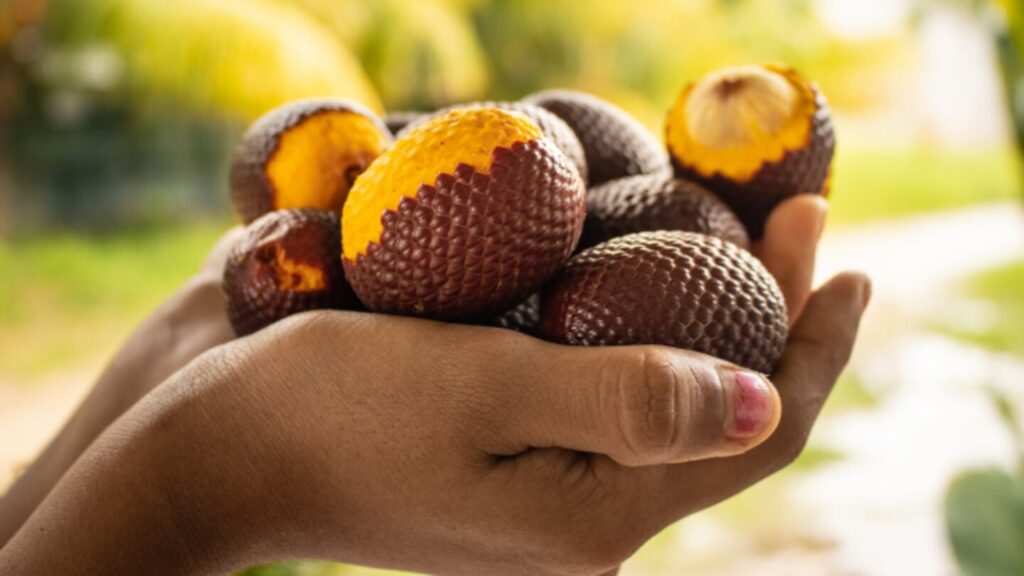 Iniciativa de super frutos de Grupo AJE preserva el Amazonas