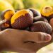 Iniciativa de super frutos de Grupo AJE preserva el Amazonas