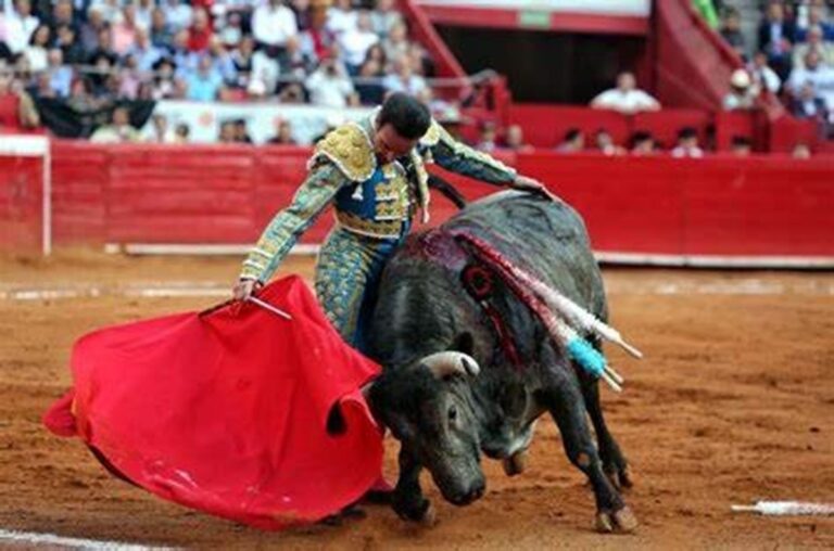 Reconoce Brugada al Congreso por aprobar el dictamen que prohíbe violencia en corridas de toros