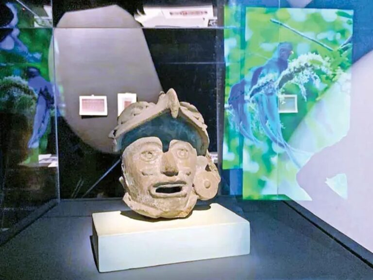 Exhiben en Marruecos exposición Aves de México