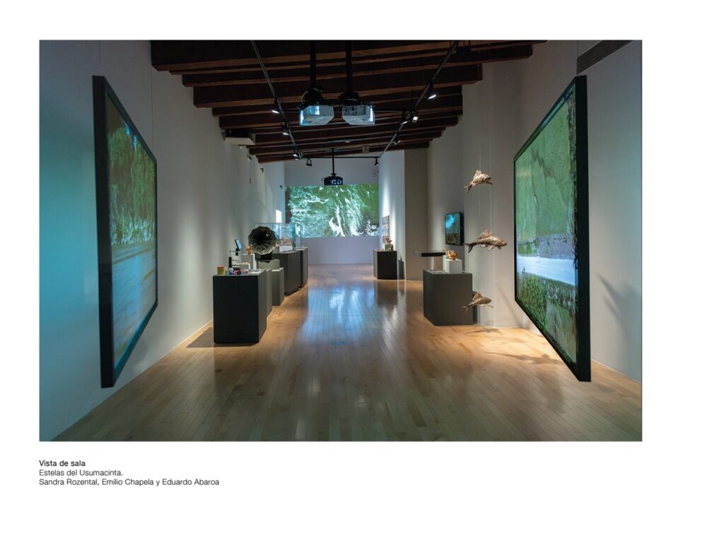 Museo Amparo presenta la exposición Estelas del Usumacinta