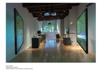 Museo Amparo presenta la exposición Estelas del Usumacinta