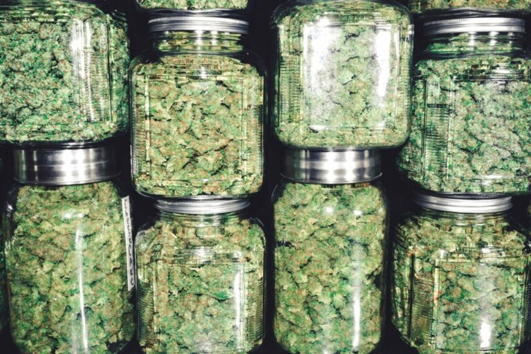 Varios frascos transparentes llenos de cannabis, representando el crecimiento del mercado y su impacto en el estilo de vida.