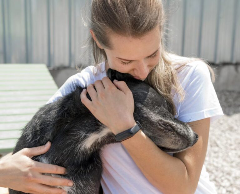 Expo Adopta brinda la opción de dar una segunda oportunidad a mascotas abandonadas, afirma Patricia Lobeira.