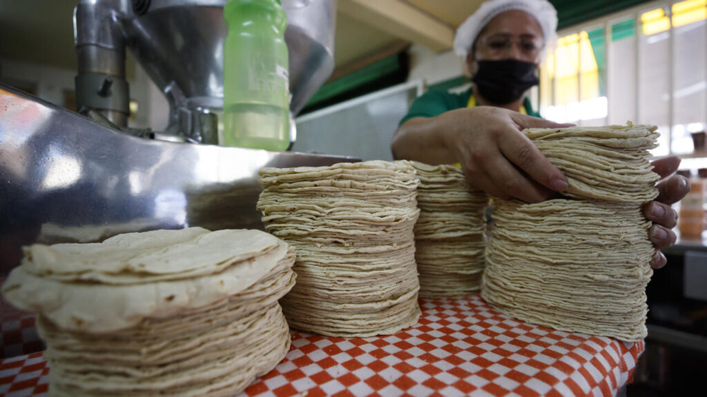 Nealtican: el pueblo poblano que conquistó a México y el extranjero con la tortilla más barata del país