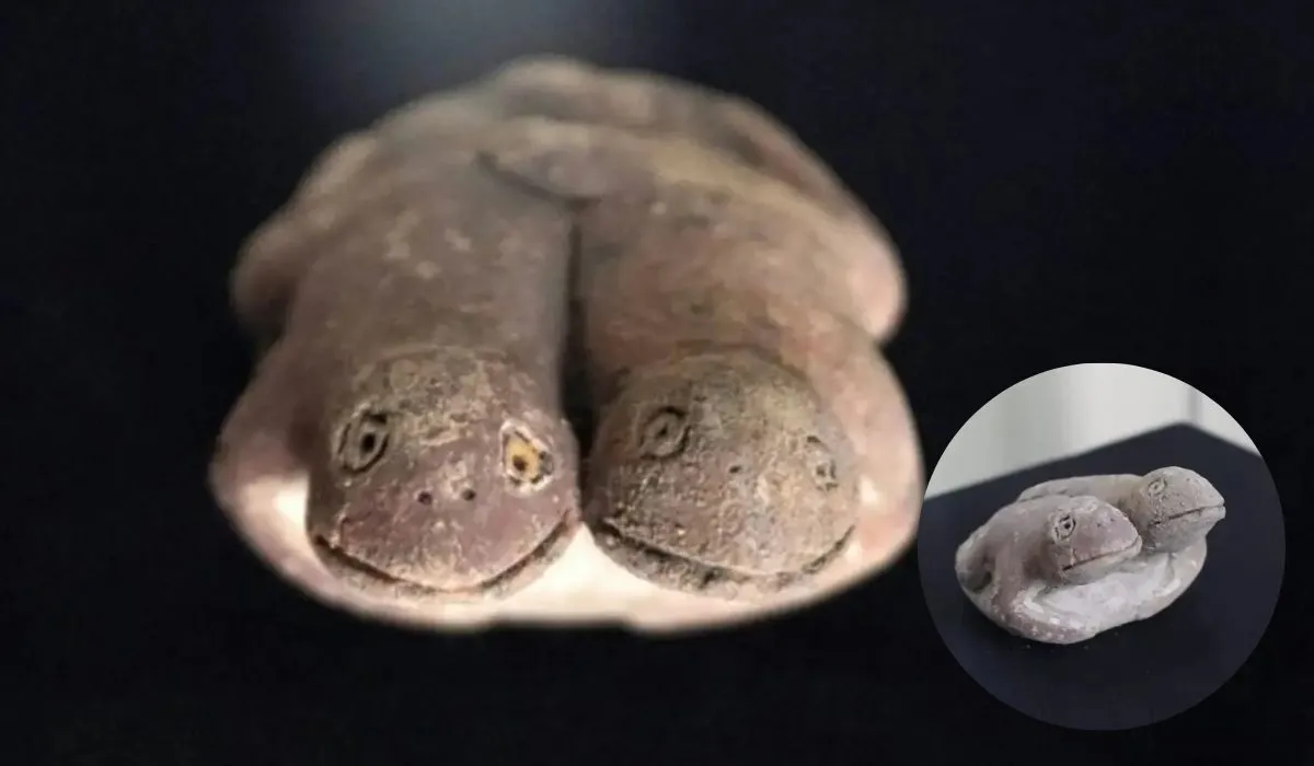 Una estatuilla de 3.800 años hallada en Perú podría revelar un antiguo cambio climático