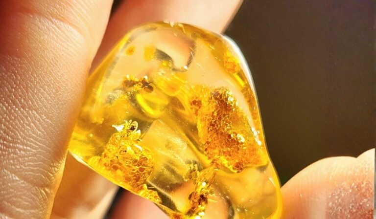 Hallan en Ecuador el mayor yacimiento de ámbar del Cretácico: una ventana a la vida de hace 100 millones de años
