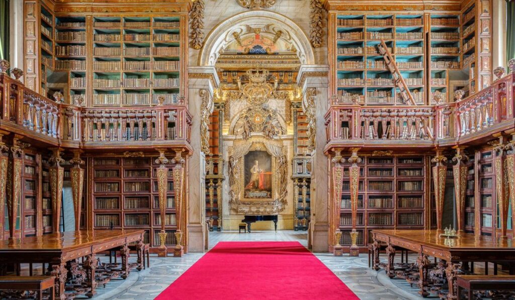 La biblioteca de Portugal que confía su seguridad… ¡a murciélagos!