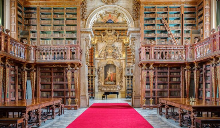 La biblioteca de Portugal que confía su seguridad… ¡a murciélagos!