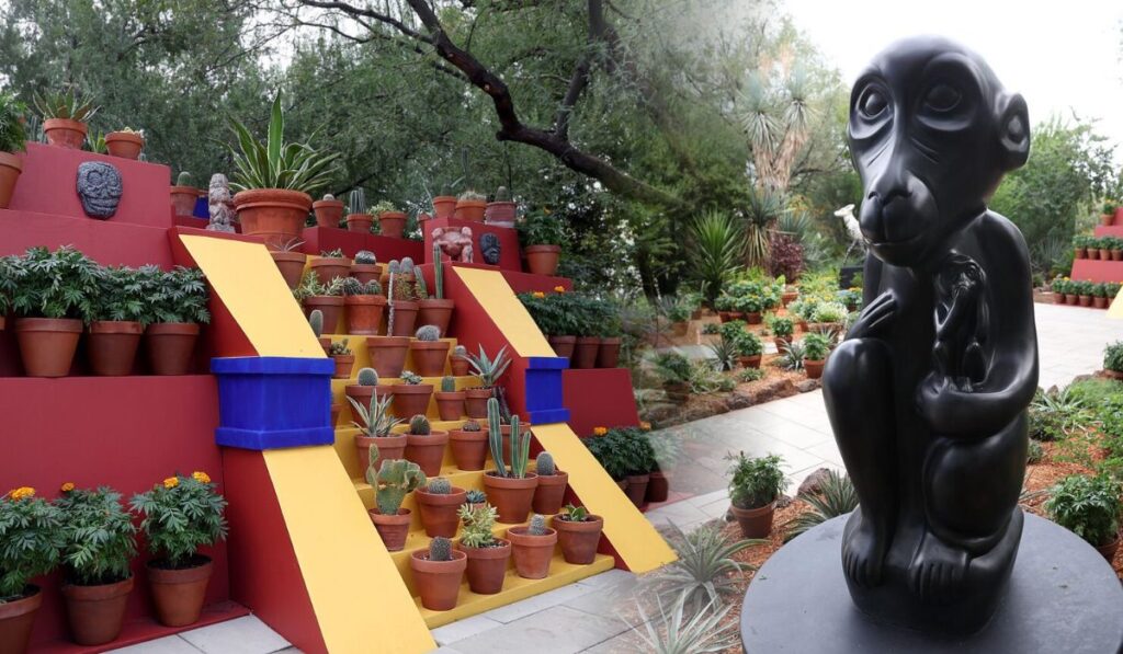 Un pedacito de la Casa Azul florece en Arizona: recrean el jardín de Frida Kahlo en Tucson
