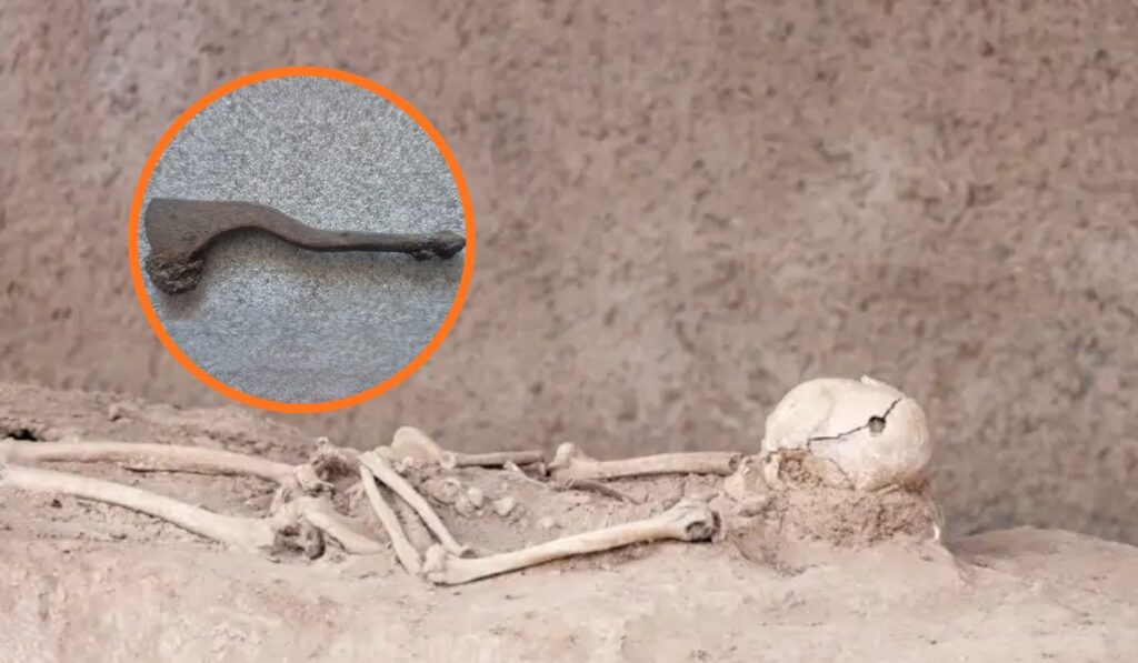 Arqueólogos hallan en Polonia una herramienta de cirugía craneal celta de 2.300 años