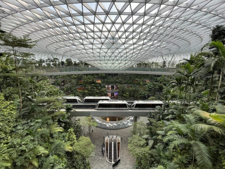 Daniel Esquenazi Beraha: el poder curativo del entorno