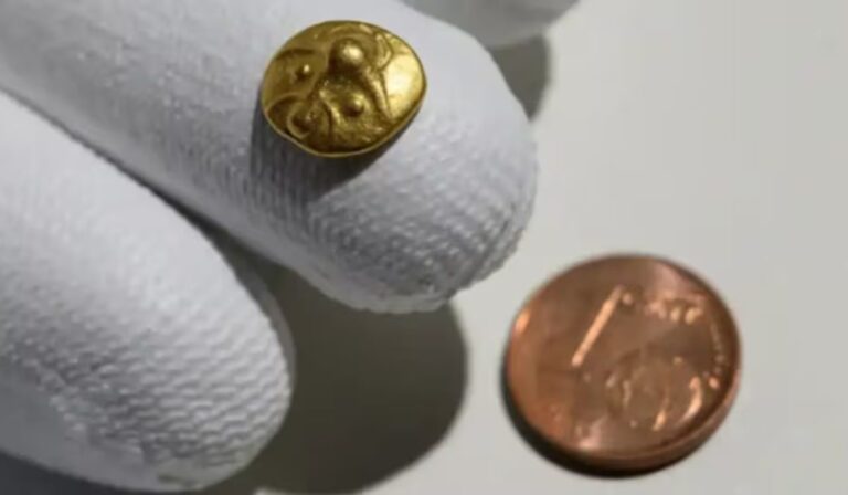 “El tesoro del arcoíris”: hombre encuentra una moneda celta de oro de 2,200 años en Alemania