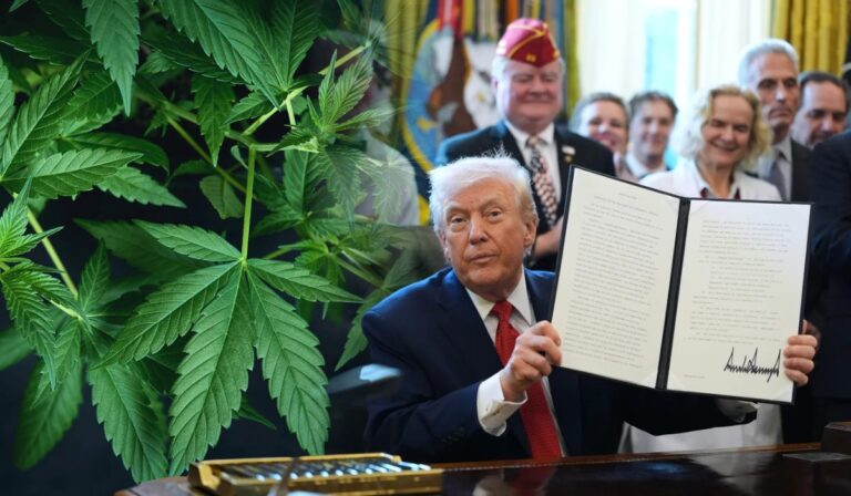 Trump acelera la reclasificación de la marihuana y abre la puerta a más investigación médica
