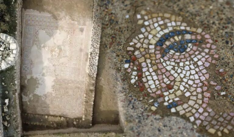 Un tesoro bajo tierra: descubren mosaicos romanos del siglo IV en Adrianópolis