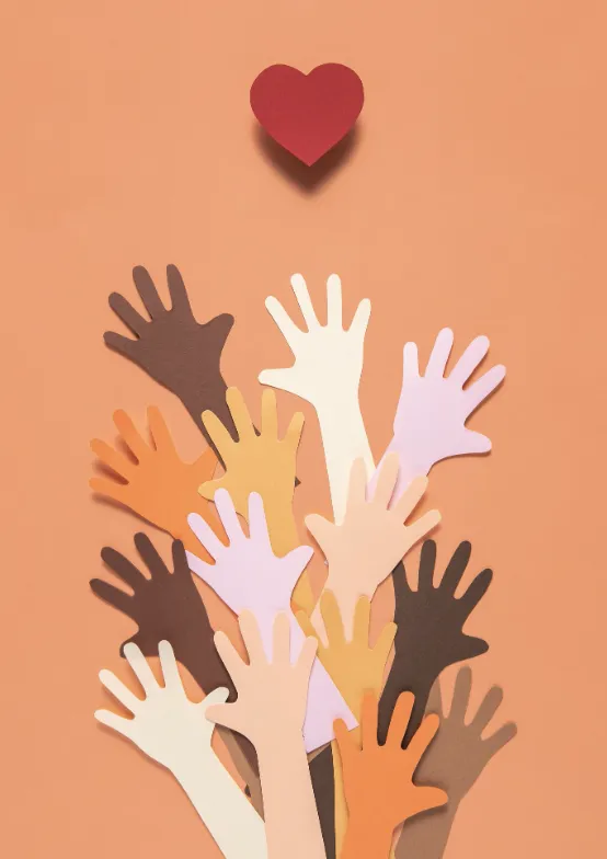 Voluntariados 2025 Seguritech 