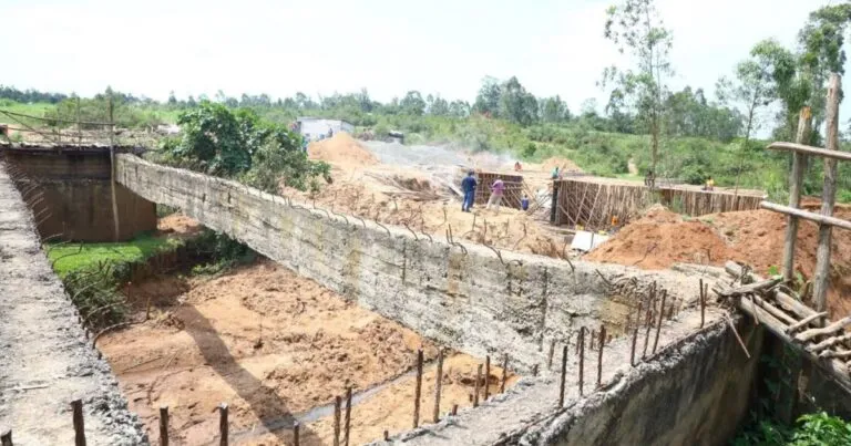 El especialista en construcción y viviendas, José Reynoso González, observa un incremento por la autoconstrucción de casas en el país.