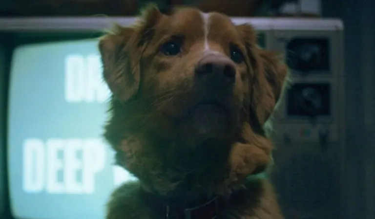 Indy hace historia: un perro gana el Astra 2026 por su actuación en una película de terror