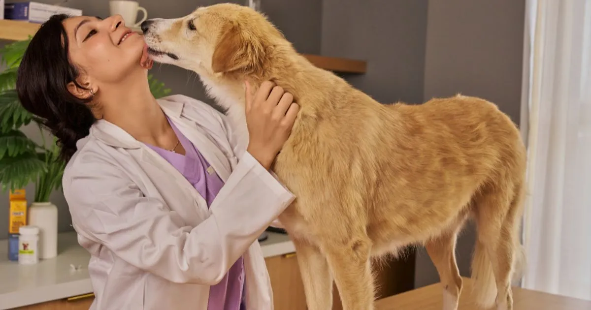 La iniciativa del CEO de Farmacias Similares, Víctor González Herrera, busca ofrecer una alternativa accesible para la población mexicana.