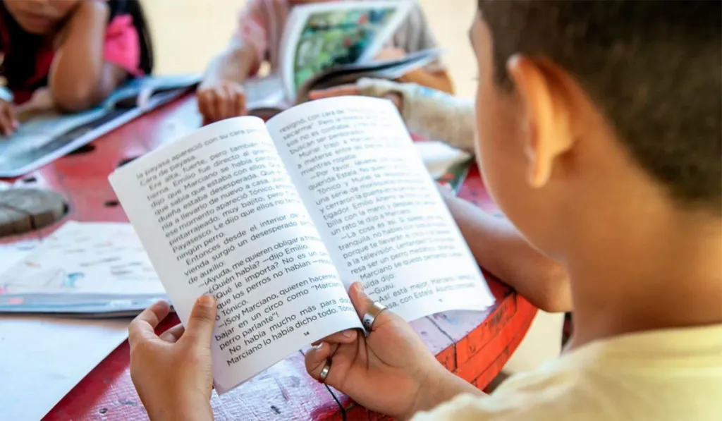 30% de niños en primaria no sabe leer ni escribir: la alerta que enciende Fundación Zorro Rojo