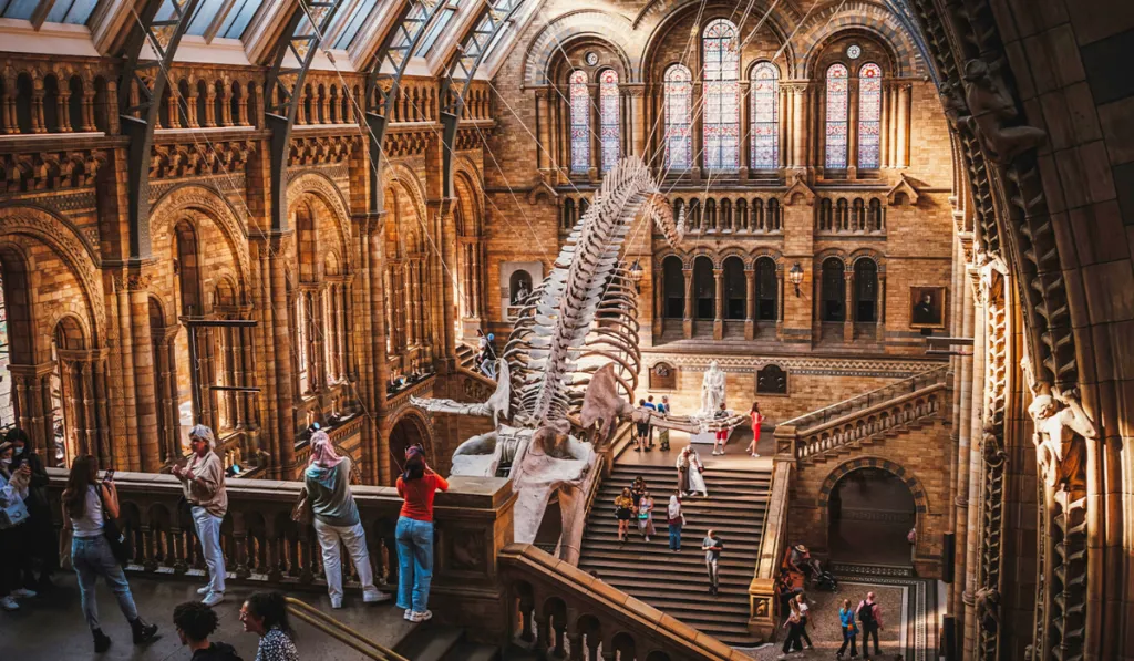 El Museo de Historia Natural de Londres arrasa: gratis, innovador y lleno de experiencias únicas