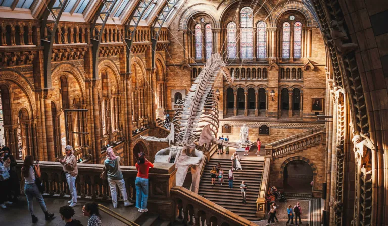 El Museo de Historia Natural de Londres arrasa: gratis, innovador y lleno de experiencias únicas