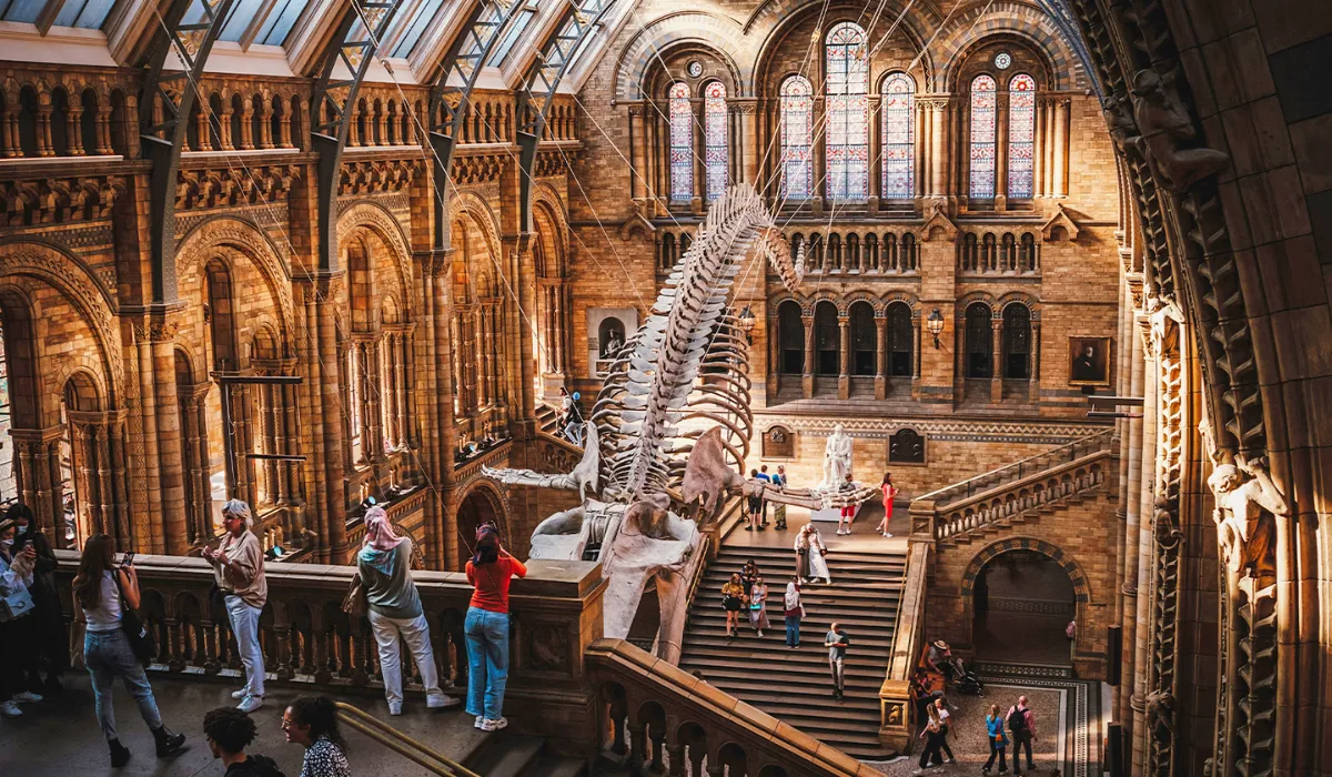 El Museo de Historia Natural de Londres arrasa: gratis, innovador y lleno de experiencias únicas
