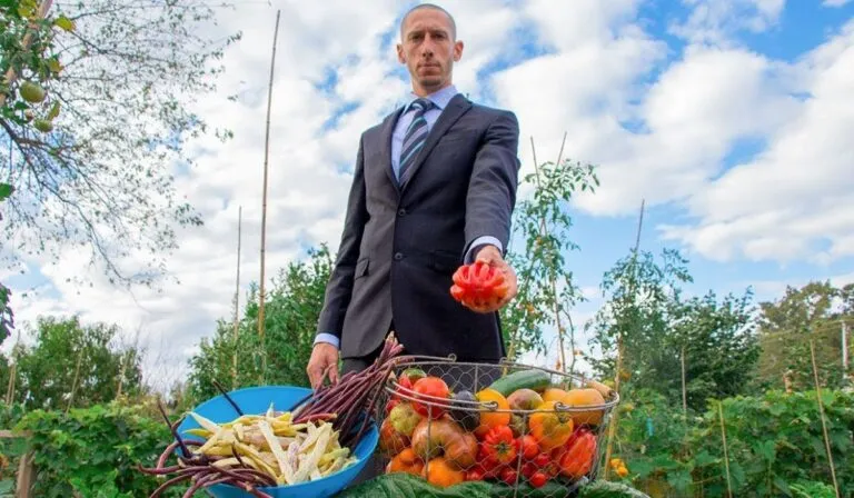 Cultiva tomate de McDonald’s y el resultado sorprende a miles