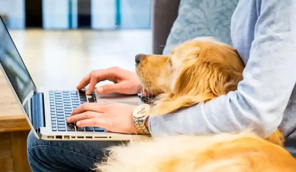 CEO desata polémica tras elogiar a empleado que vendió a su perro para volver a la oficina