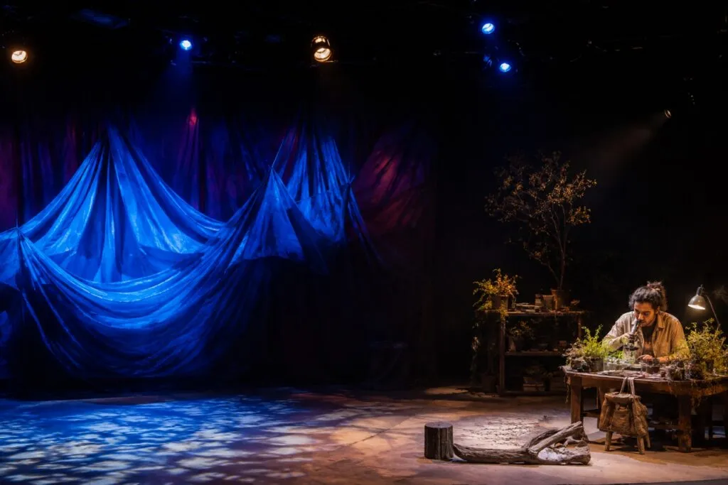 Escena inspirada en La dignidad del insecto, obra de Teatro UNAM sobre biodiversidad y conciencia ambiental.