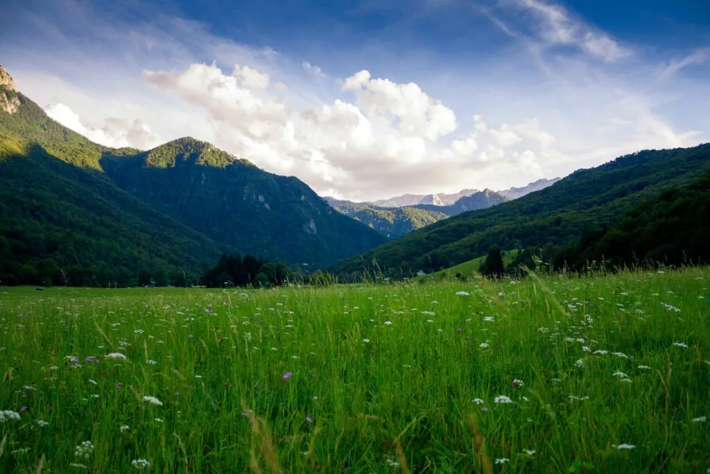 Derechos de la naturaleza en México buscan fortalecer la protección jurídica de ecosistemas y biodiversidad